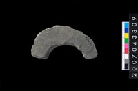 藏品(石環製作材料－旋截圓環粗胚殘件)的圖片