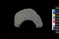 藏品(石環製作材料－旋截圓環粗胚殘件)的圖片