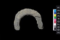 藏品(石環製作材料－旋截圓環粗胚殘件)的圖片