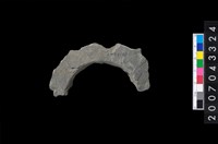 藏品(石環製作材料－旋截圓環粗胚殘件)的圖片