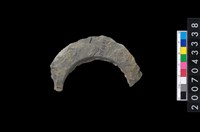 藏品(石環製作材料-旋截圓環粗胚殘件)的圖片