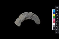 藏品(石環製作材料-旋截圓環粗胚殘件)的圖片