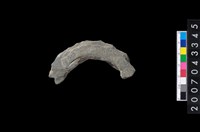 藏品(石環製作材料-旋截圓環粗胚殘件)的圖片