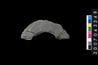 藏品(石環製作材料-旋截圓環粗胚殘件)的圖片