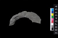 藏品(石環製作材料－旋截圓環粗胚殘件)的圖片