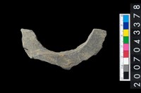 藏品(石環製作材料-旋截圓環粗胚殘件)的圖片