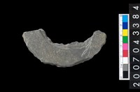 藏品(石環製作材料-旋截圓環粗胚殘件)的圖片