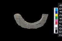 藏品(石環製作材料-旋截圓環粗胚殘件)的圖片