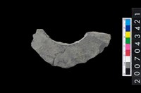 藏品(石環製作材料-旋截圓環粗胚殘件)的圖片