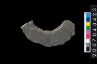 藏品(石環製作材料-旋截圓環粗胚殘件)的圖片