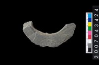 藏品(石環製作材料-旋截圓環粗胚殘件)的圖片