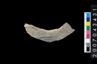 藏品(石環製作材料-旋截圓環粗胚殘件)的圖片