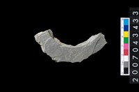 藏品(石環製作材料-旋截圓環粗胚殘件)的圖片