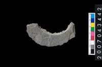 藏品(石環製作材料-旋截圓環粗胚殘件)的圖片