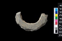 藏品(石環製作材料-旋截圓環粗胚殘件)的圖片