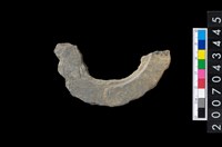 藏品(石環製作材料-旋截圓環粗胚殘件)的圖片