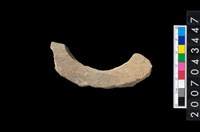 藏品(石環製作材料-旋截圓環粗胚殘件)的圖片