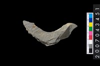 藏品(石環製作材料-旋截圓環粗胚殘件)的圖片