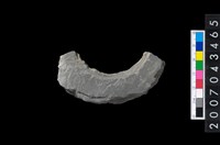 藏品(石環製作材料－旋截圓環粗胚殘件)的圖片