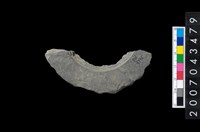 藏品(石環製作材料-旋截圓環粗胚殘件)的圖片