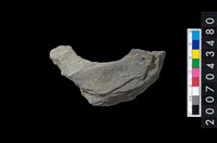 藏品(石環製作材料-旋截圓環粗胚殘件)的圖片