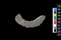 藏品(石環製作材料-旋截圓環粗胚殘件)的圖片