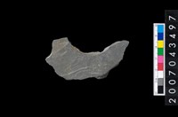 藏品(石環製作材料-旋截圓環粗胚殘件)的圖片