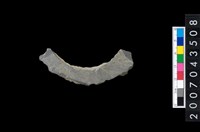 藏品(石環製作材料-旋截圓環粗胚殘件)的圖片