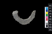 藏品(石環製作材料-旋截圓環粗胚殘件)的圖片