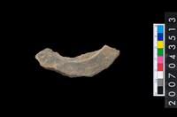 藏品(石環製作材料－旋截圓環粗胚殘件)的圖片