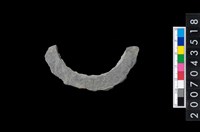 藏品(石環製作材料－旋截圓環粗胚殘件)的圖片