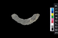 藏品(石環製作材料－旋截圓環粗胚殘件)的圖片