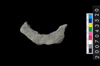 藏品(石環製作材料－旋截圓環粗胚殘件)的圖片