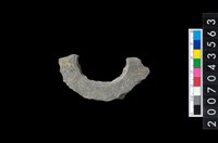 藏品(石環製作材料－旋截圓環粗胚殘件)的圖片