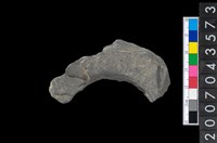 藏品(石環製作材料－旋截圓環粗胚殘件)的圖片