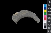 藏品(石環製作材料－旋截圓環粗胚殘件)的圖片