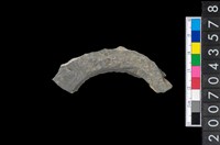 藏品(石環製作材料-旋截圓環粗胚殘件)的圖片