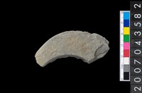 藏品(石環製作材料-旋截圓環粗胚殘件)的圖片