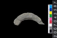 藏品(石環製作材料-旋截圓環粗胚殘件)的圖片