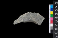 藏品(石環製作材料-旋截圓環粗胚殘件)的圖片