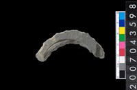 藏品(石環製作材料-旋截圓環粗胚殘件)的圖片