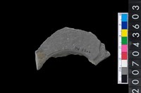 藏品(石環製作材料-旋截圓環粗胚殘件)的圖片