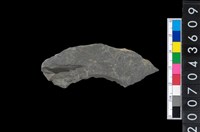 藏品(石環製作材料-旋截圓環粗胚殘件)的圖片