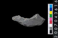 藏品(石環製作材料-旋截圓環粗胚殘件)的圖片