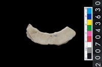 藏品(石環製作材料－旋截圓環粗胚殘件)的圖片