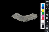 藏品(石環製作材料－旋截圓環粗胚殘件)的圖片