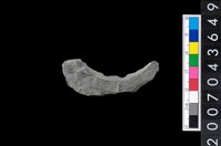 藏品(石環製作材料－旋截圓環粗胚殘件)的圖片