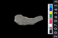 藏品(石環製作材料-旋截圓環粗胚殘件)的圖片