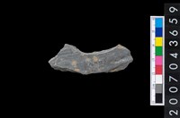 藏品(石環製作材料-旋截圓環粗胚殘件)的圖片