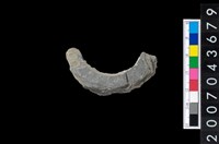 藏品(石環製作材料-旋截圓環粗胚殘件)的圖片